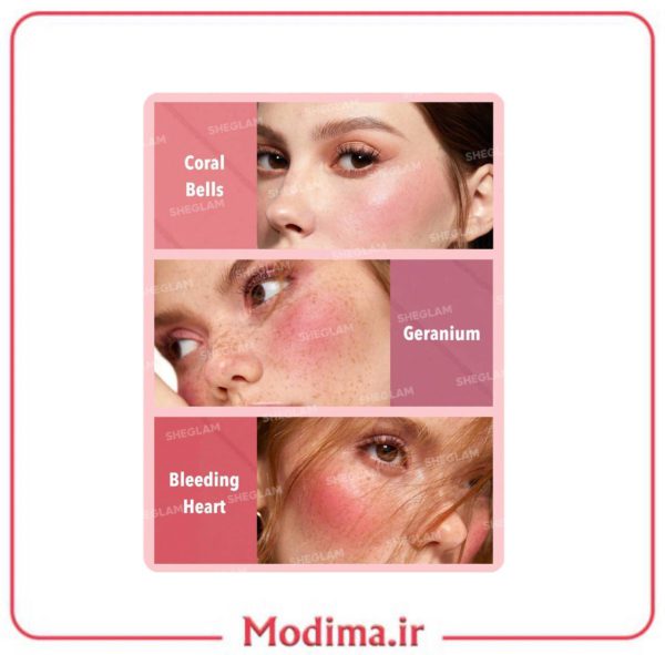 توضیحات پالت رژگونه ۶ تایی شیگلم SHEGLAM