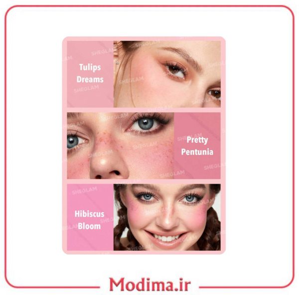 معرفی پالت رژگونه ۶ تایی شیگلم SHEGLAM