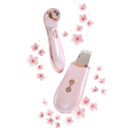 برقی مدیما